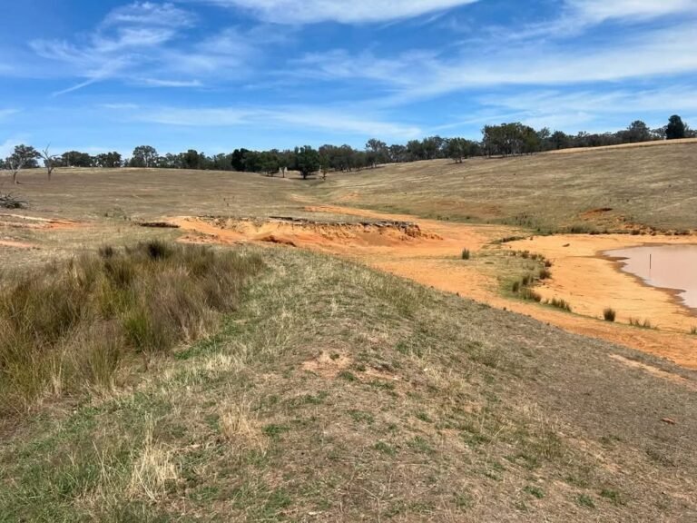 Newman Fields Development Gate Birmingham
